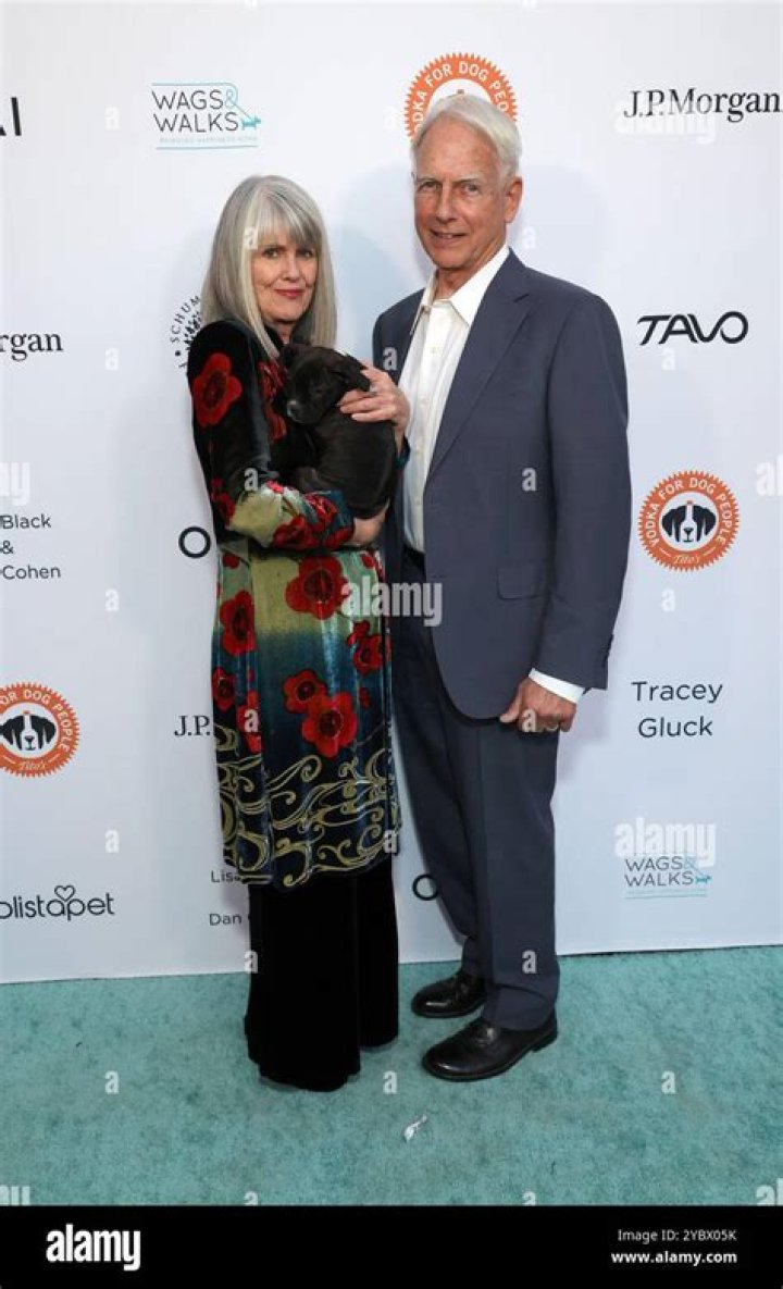 A Deep Dive Into Mark Harmon And Pam Dawber's Marriage