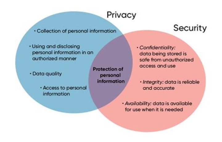 A Journey Of Privacy And Connection