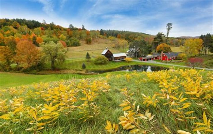 Discover The Best Places To Call
