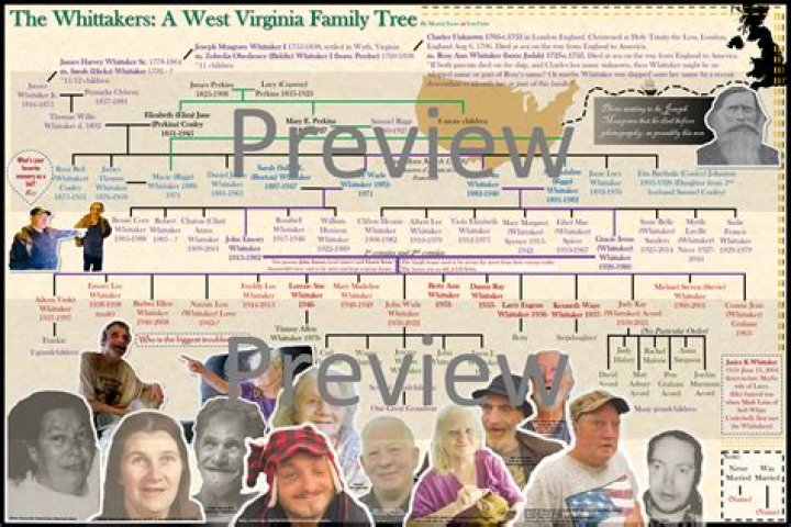 Discover The Whitaker Family Tree