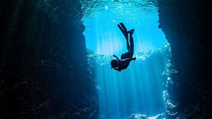 Dive Into The World Of Ocean Kent Emmett