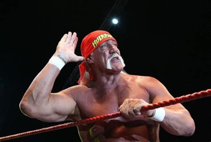 Hulk Hogan Net Worth | Celebrity Net Worth ·