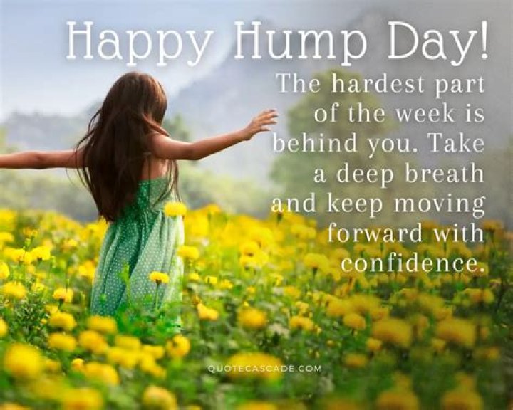 Kick-Start Your Hump Day With A Dose Of Wednesday Wit And Humor