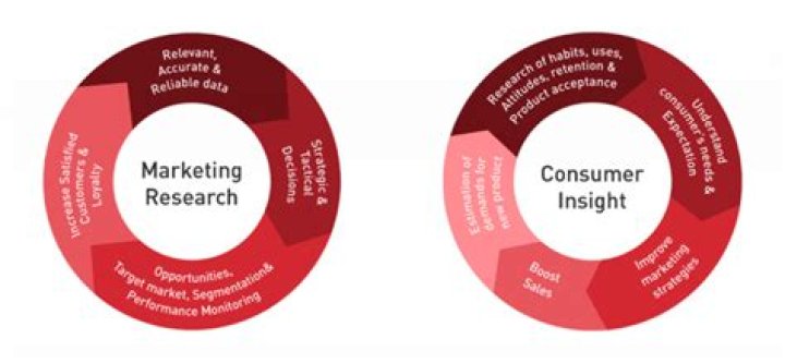 Uncover A Wealth Of Insights