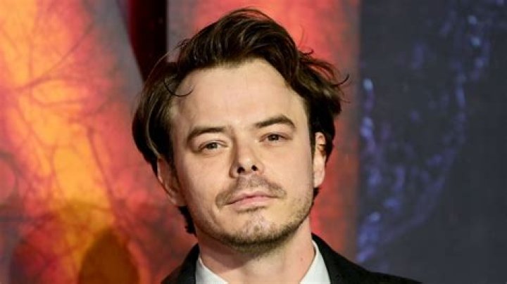 Unveiling Charlie Heaton's Son: Discoveries And Insights