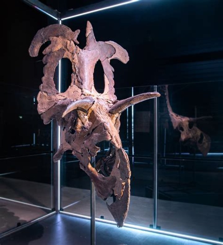 Unveiling Marian Anderson's Net Worth: Discoveries And Insights
