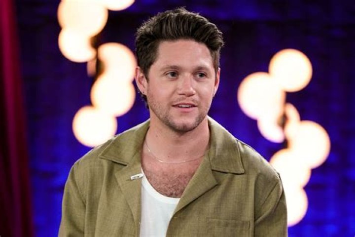 Unveiling The Origins Of Niall Horan: Discoveries And Insights