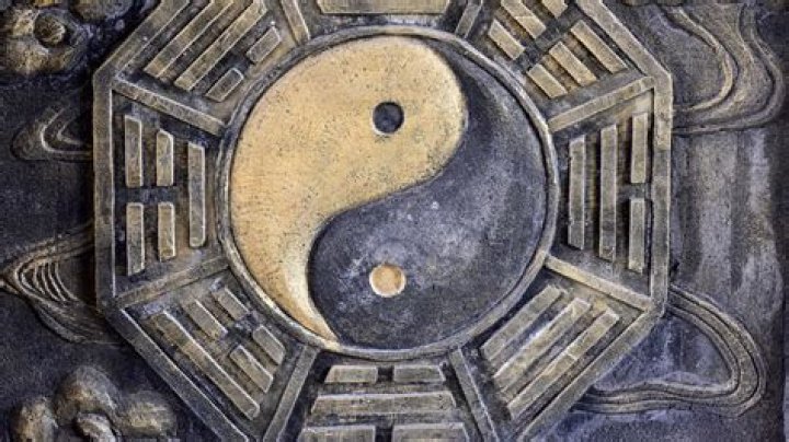 Unveiling The Profound Symbols That Embody The Essence Of Family